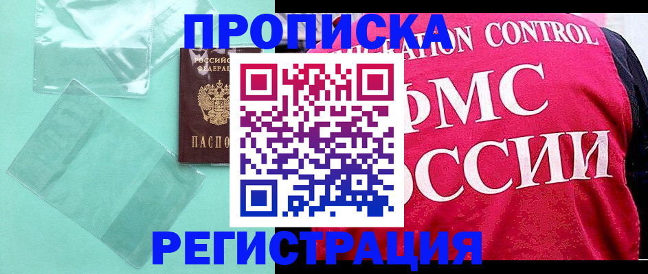 прописка 2025 в Камышине